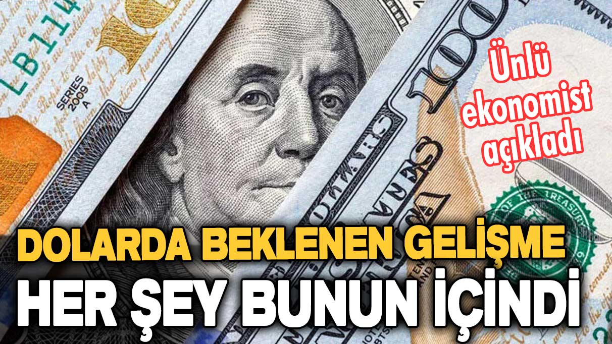 Ünlü ekonomist dolarda beklenen gelişmeyi açıkladı: Her şey bunun için yapıldı