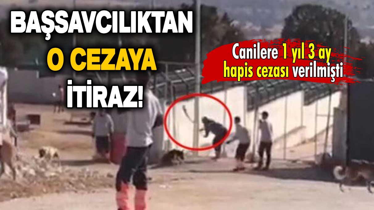 Başsavcılıktan o cezaya itiraz: Canilere 1 yıl 3'er ay hapis cezası verilmişti!