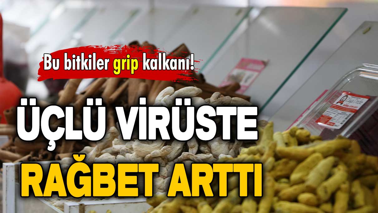 Üçlü virüste rağbet arttı: Bu bitkiler grip kalkanı!