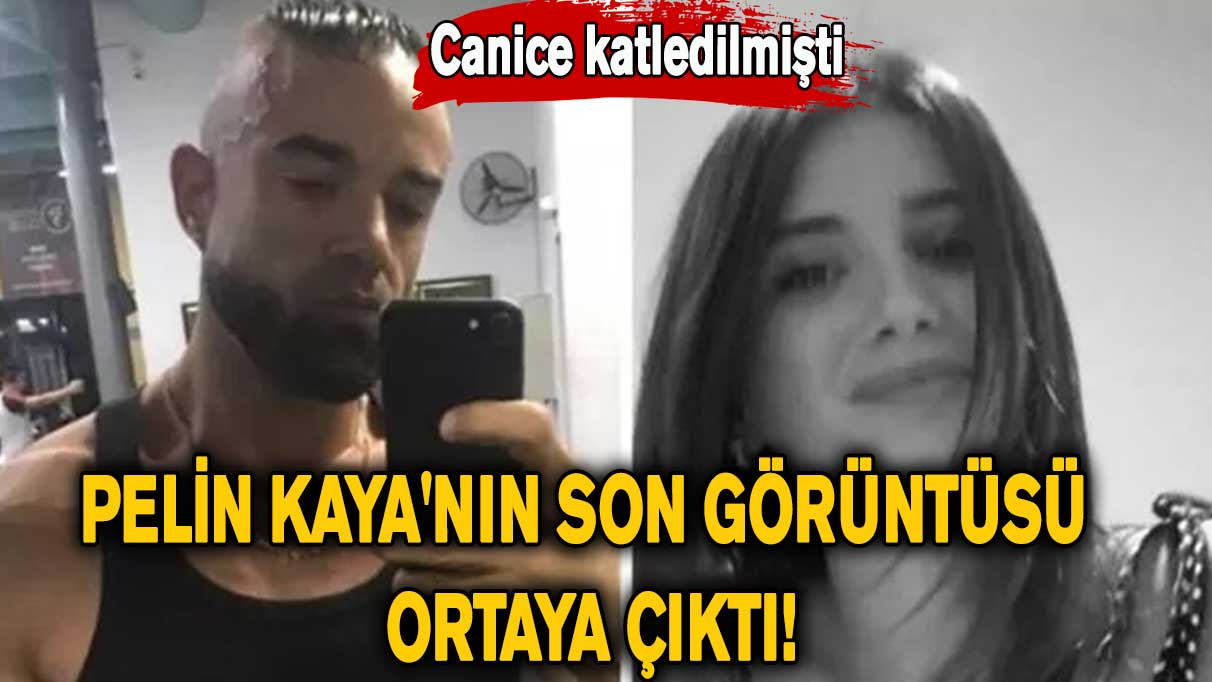 Canice öldürülmüştü! Pelin Kaya'nın son görüntüsü ortaya çıktı!