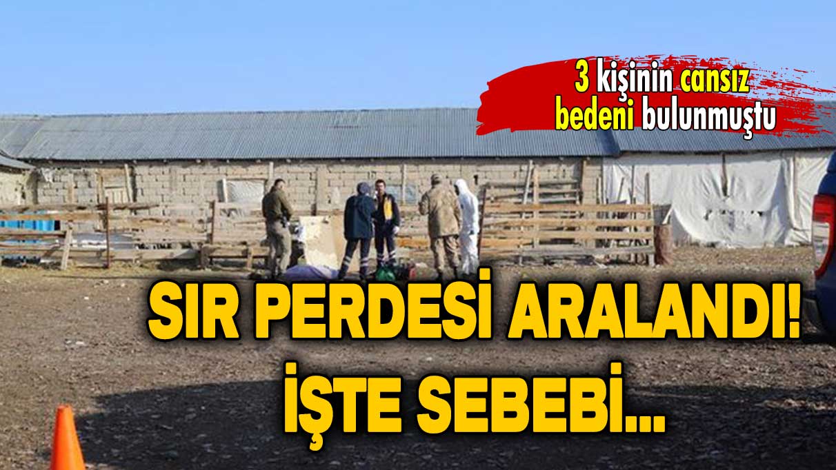 3 kişinin cansız bedeni bulunmuştu: Sır perdesi aralandı!