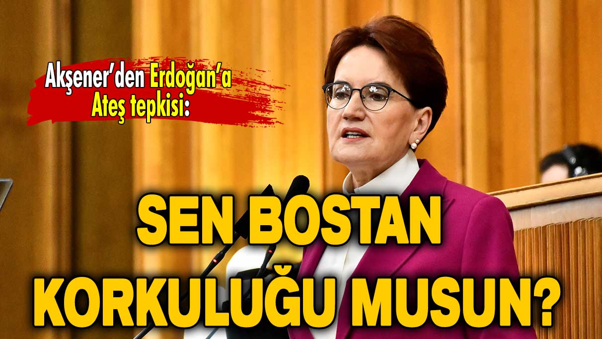 Akşener'den Erdoğan'a Sinan Ateş tepkisi: Sen bostan korkuluğu musun?