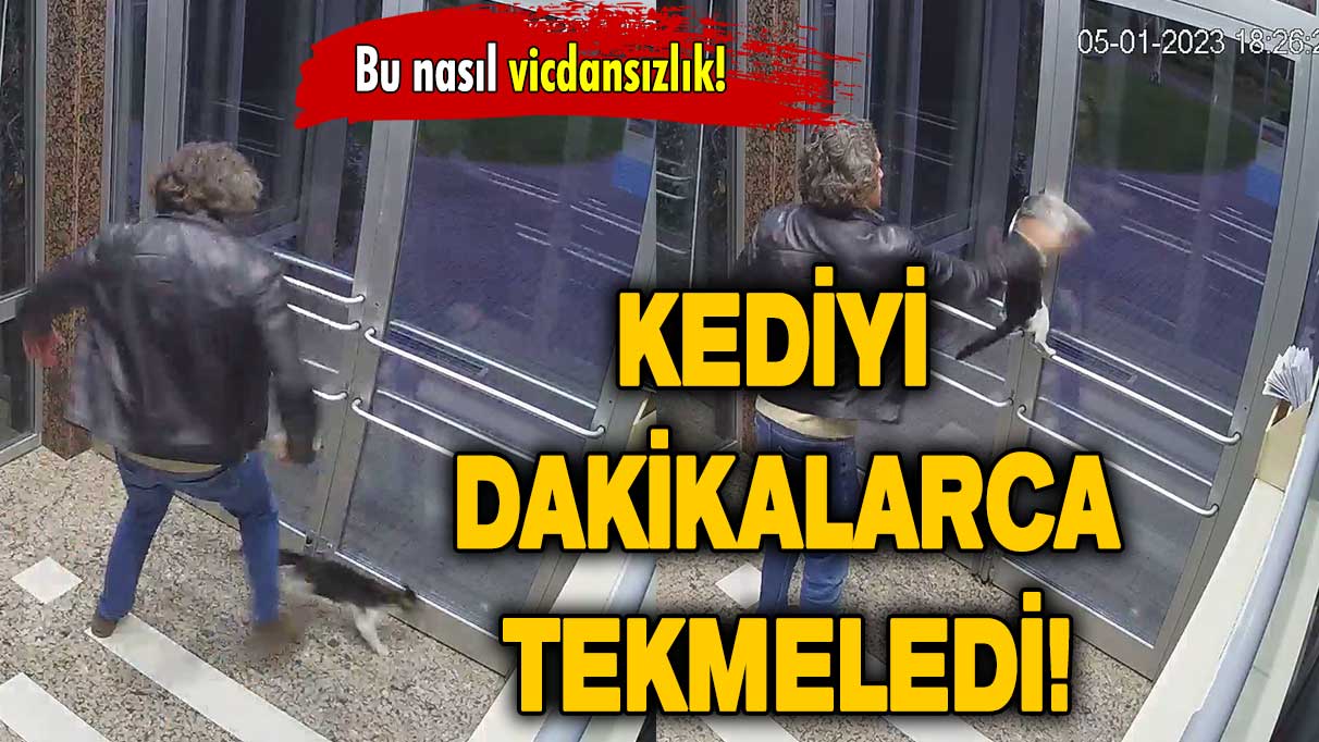 Bu nasıl vicdansızlık: Hayvan düşmanı adam kediyi dakikalarca tekmeledi!