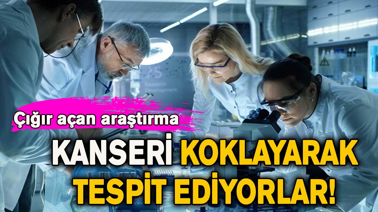 Bu böcekler, kanseri koklayarak tespit edebiliyor! Bilim insanlarından çığır açan araştırma