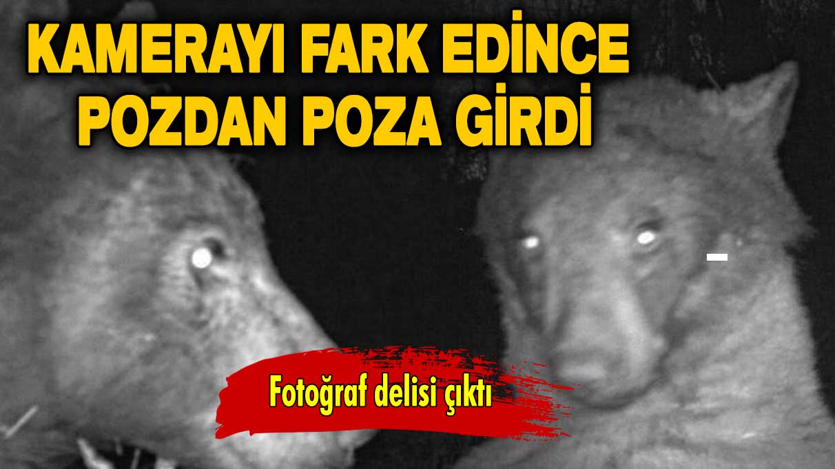 Kamerayı fark edince pozdan poza girdi: Fotoğraf delisi çıktı!