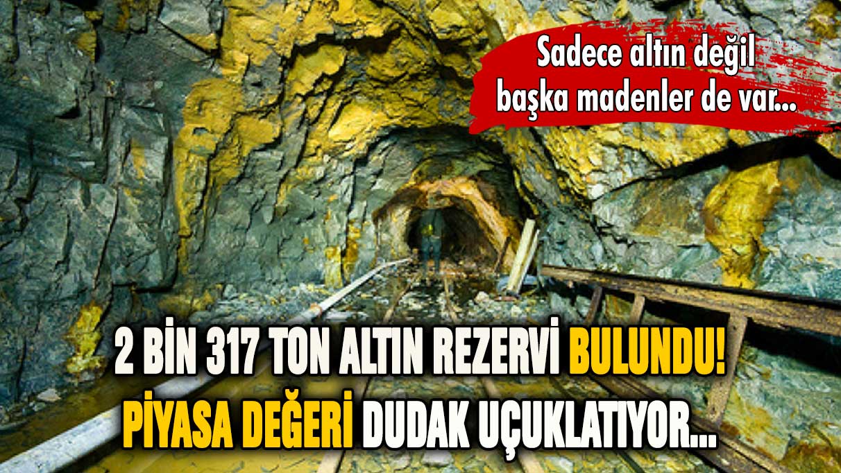 2 bin 317 ton altın rezervi bulundu! Piyasa değeri dudak uçuklattı...