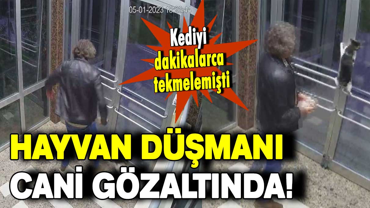 Kediyi dakikalarca tekmelemişti: Hayvan düşmanı cani gözaltında!