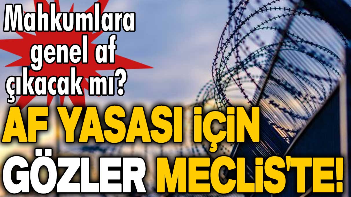 Mahkumlara genel af çıkacak mı? Af yasası için gözler Meclis'te! 