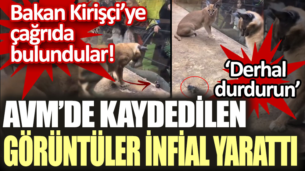 AVM'de kaydedilen görüntüler infial yarattı! Sosyal medyada 'derhal durdurun' çağrısı yapıldı