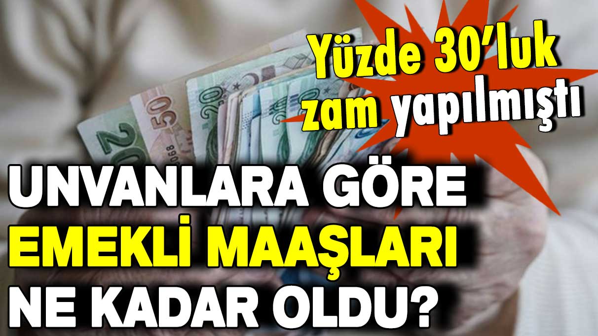 Yüzde 30’luk zam yapılmıştı: Unvanlara göre emekli maaşları ne kadar oldu?