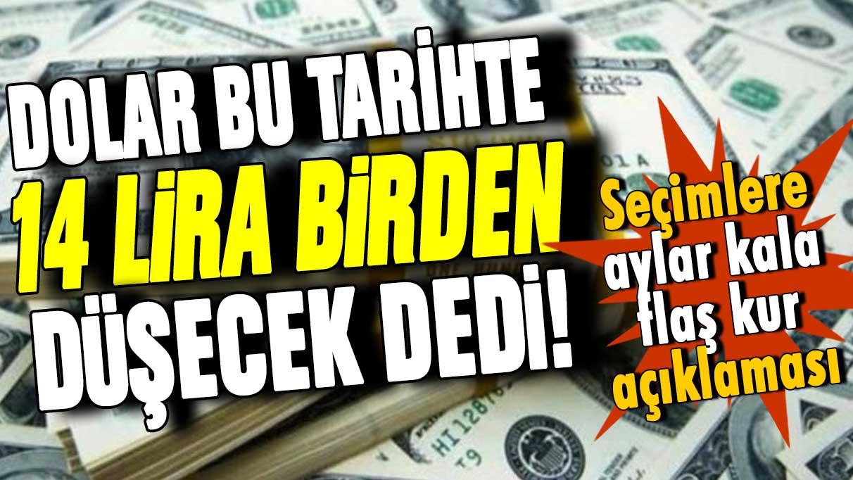 Dolarda her şeyi değiştirecek günü açıkladı: ''14 lira birden düşecek''