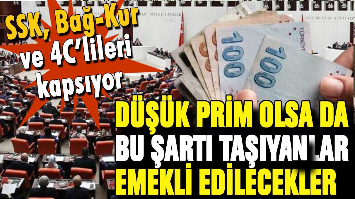 Düşük prim sayısı ile 44-45-46 yaşında emeklilik şansı verilecek! SSK, Bağ-Kur ve 4C'lileri kapsıyor