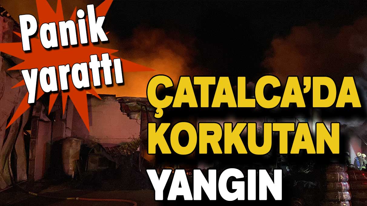 Panik yarattı: Çatalca’da korkutan yangın!