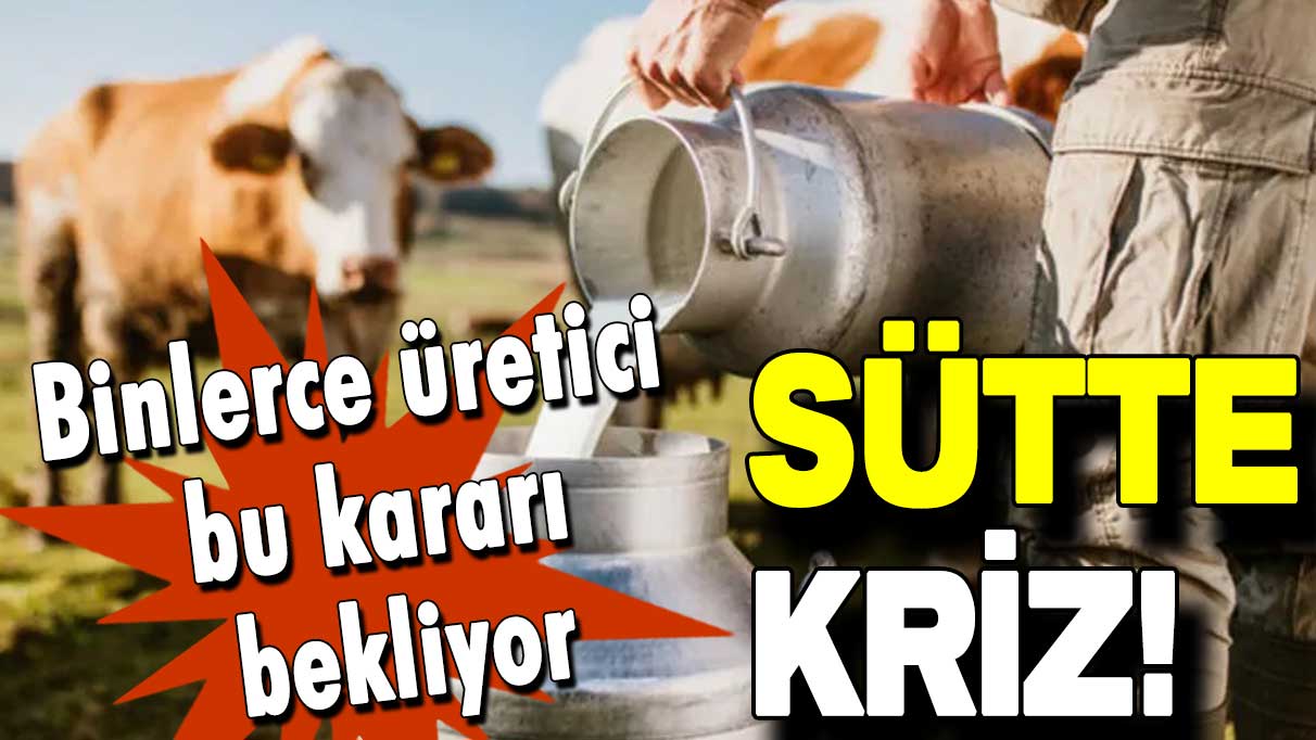 Sütte fiyat krizi: Binlerce üretici bu kararı bekliyor!