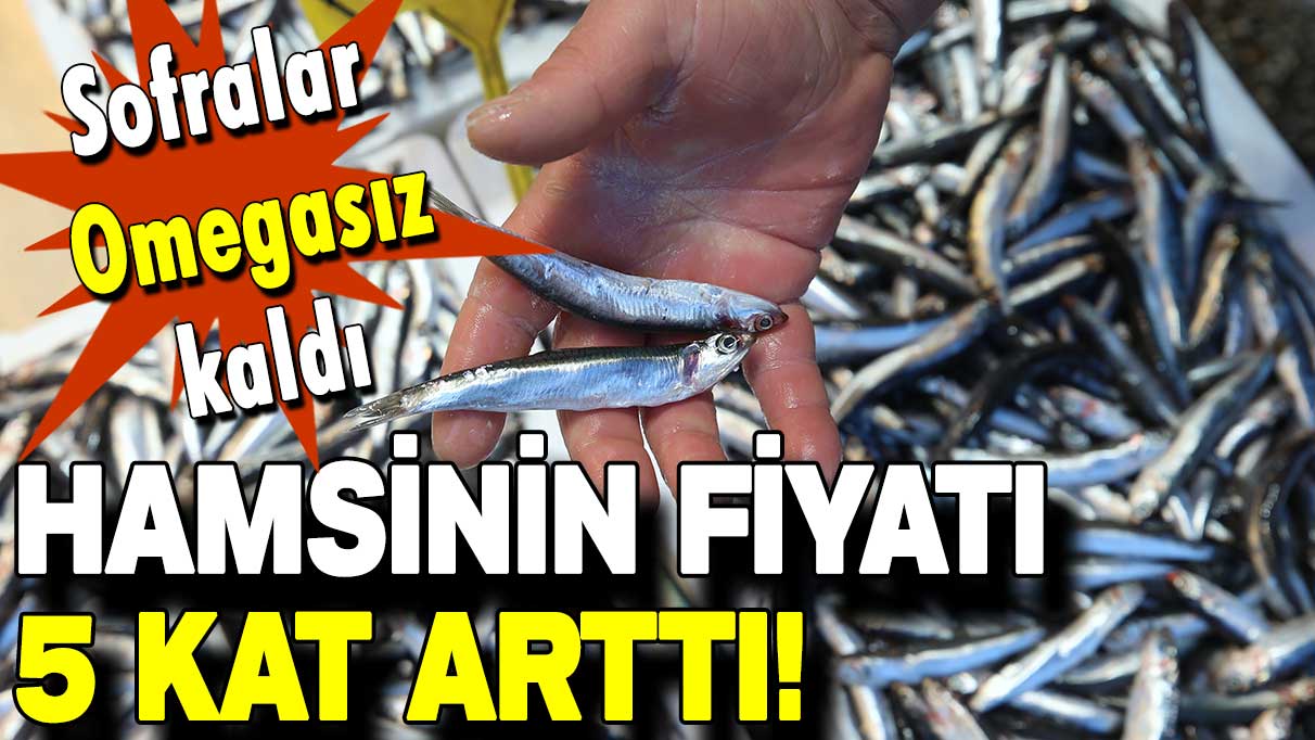 Sofralar Omegasız kaldı: Hamsinin fiyatı 5 kat arttı!