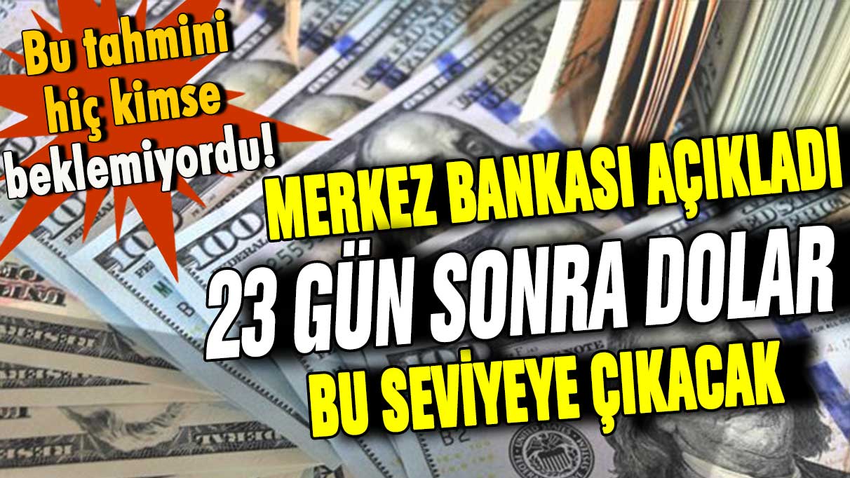 Merkez Bankası açıkladı: İşte 23 gün sonra görülecek dolar kuru!