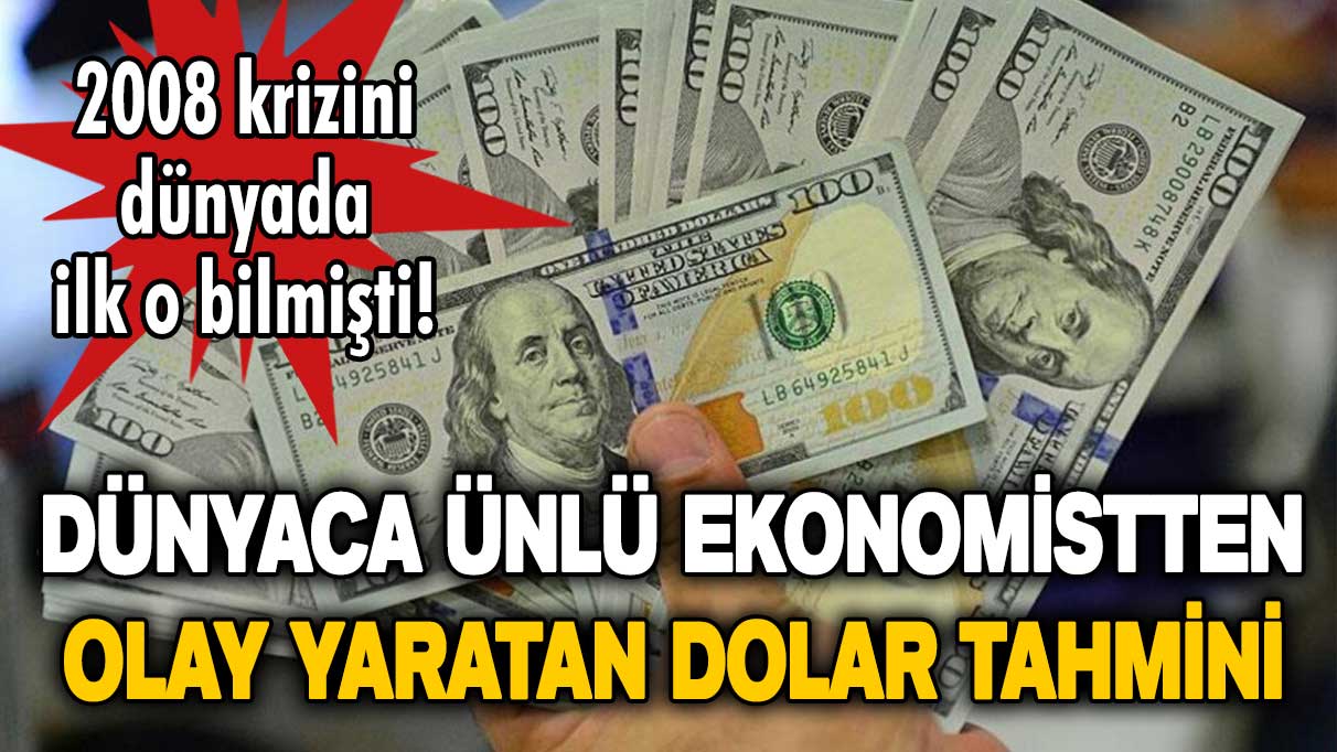 Dünyaca ünlü ekonomistten olay yaratan dolar tahmini! 2008 krizini ilk o bilmişti