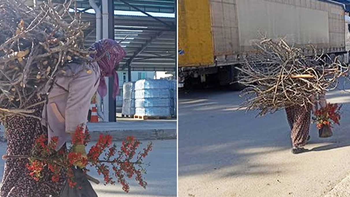 Topladığı odunları sırtında taşıyarak depremzedeler için getirdi