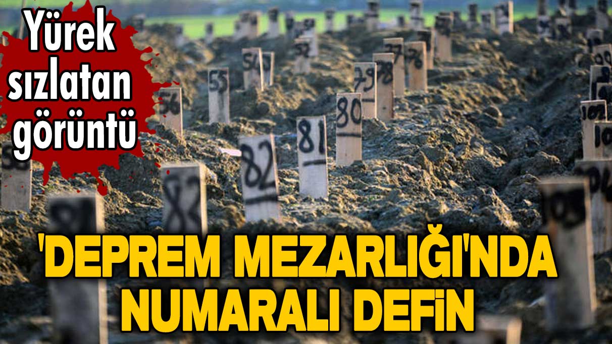 Yürek sızlatan görüntü: Deprem mezarlığında numaralı defin