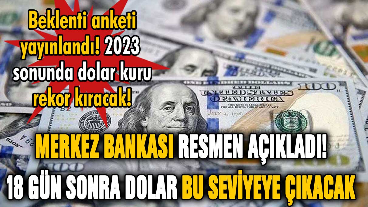 Merkez bankası resmen açıkladı: İşte 18 gün sonra görülecek dolar kuru!