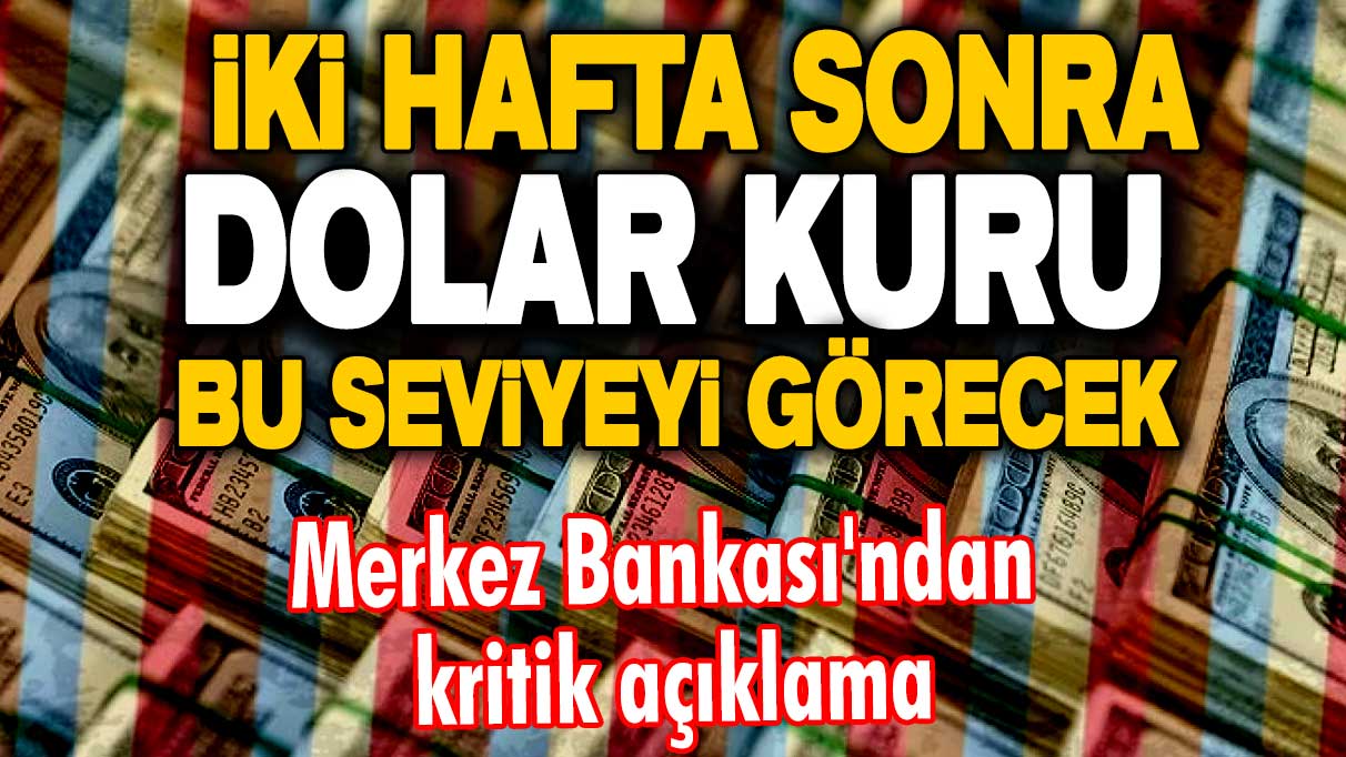 Merkez Bankası'ndan kritik açıklama! İki hafta sonra dolar kuru bu seviyeyi görecek