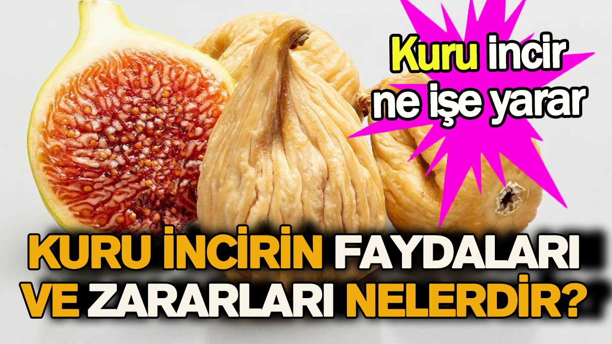 Kuru incirin faydaları ve zararları nelerdir?