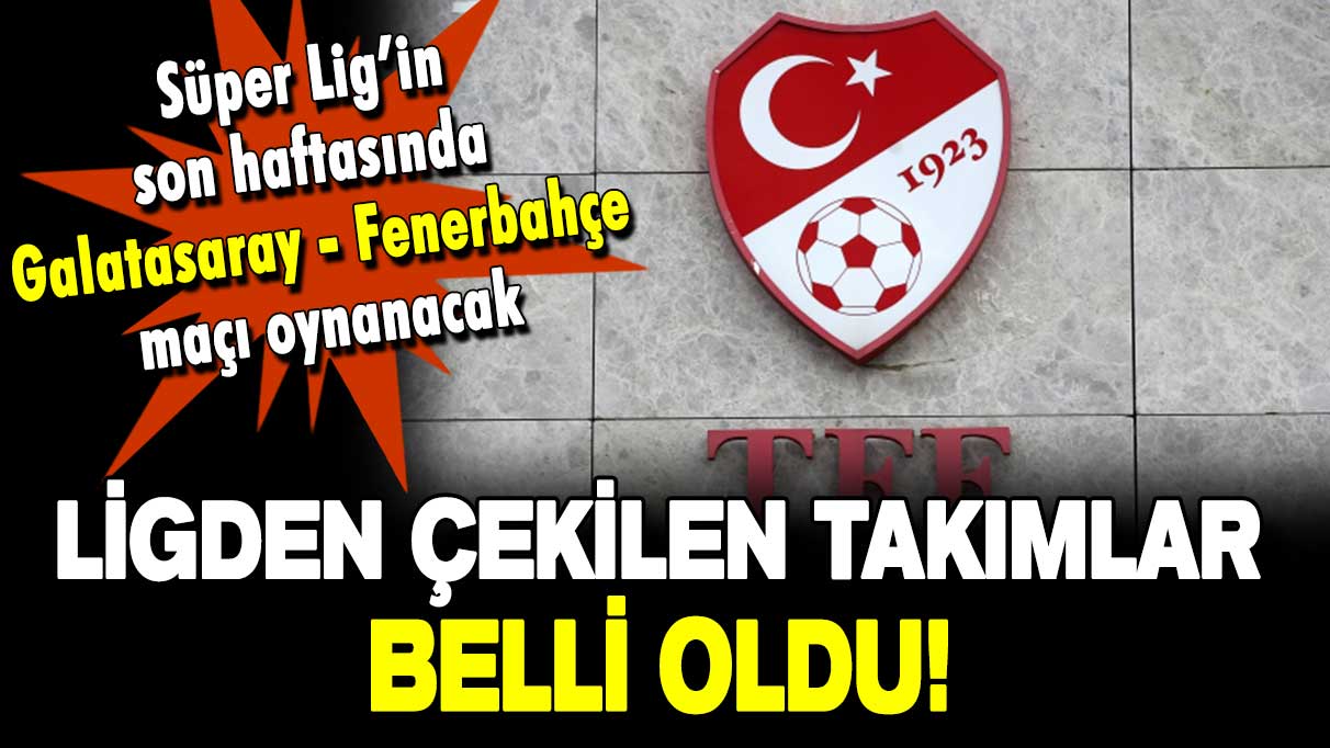 Ligden çekilen takımlar belli oldu! TFF o takımların çekilme taleplerini kabul etti