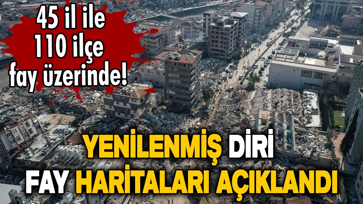 MTA Yenilenmiş diri fay haritaları açıklandı!  45 il, 110 ilçe fay üzerinde45 il, 110 ilçe fay üzerinde! 