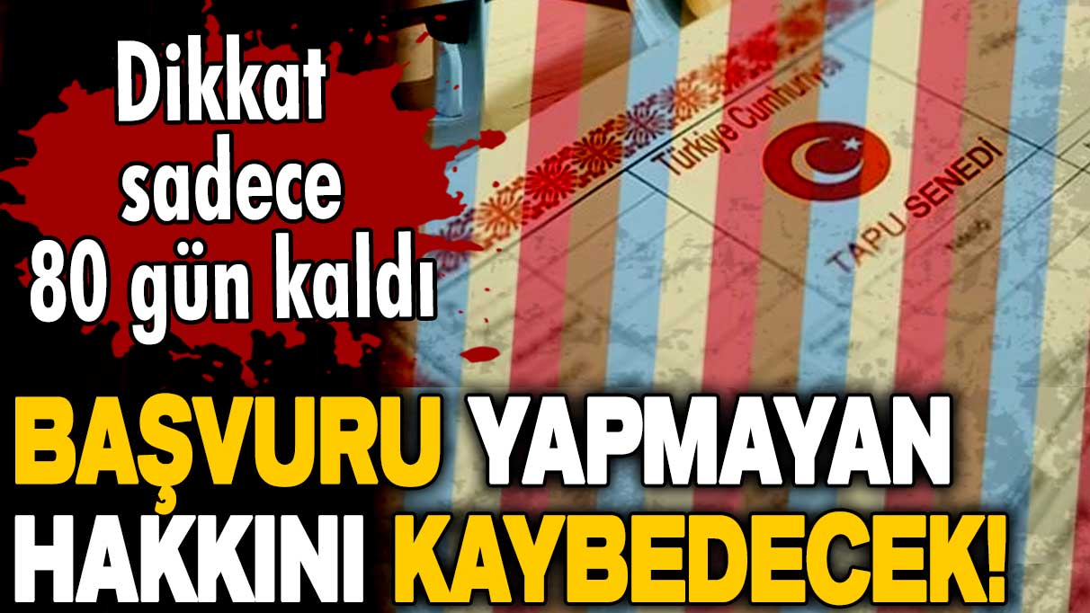 Milyonları ilgilendiriyor! Tapu sahipleri dikkat: 80 gün içinde başvuru yapmayan hakkını kaybedecek!