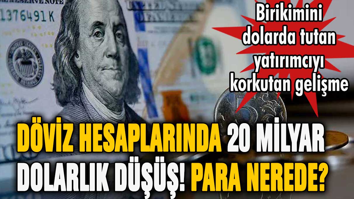 Döviz hesaplarında 20 milyar dolarlık düşüş yaşandı: Dolar kuruna etkisi ne olacak?