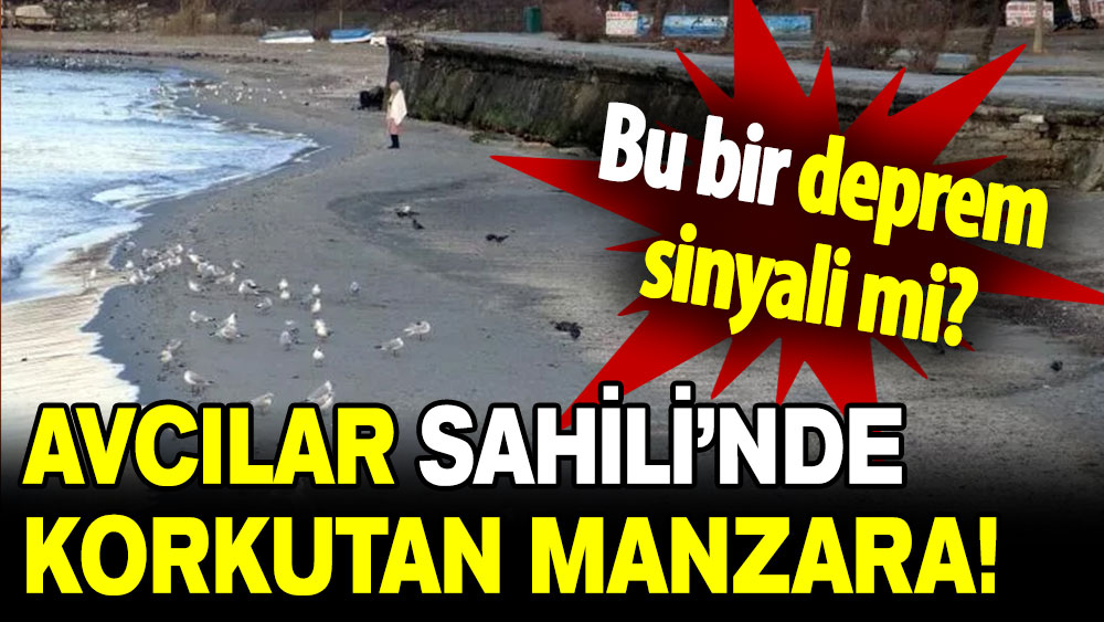 Avcılar Sahili’nde korkutan manzara: Bu bir deprem sinyali mi?