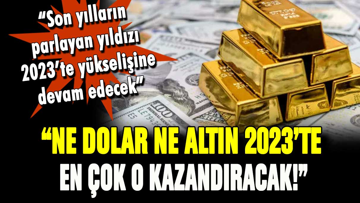 Ne dolar ne altın 2023'te en çok o kazandıracak!