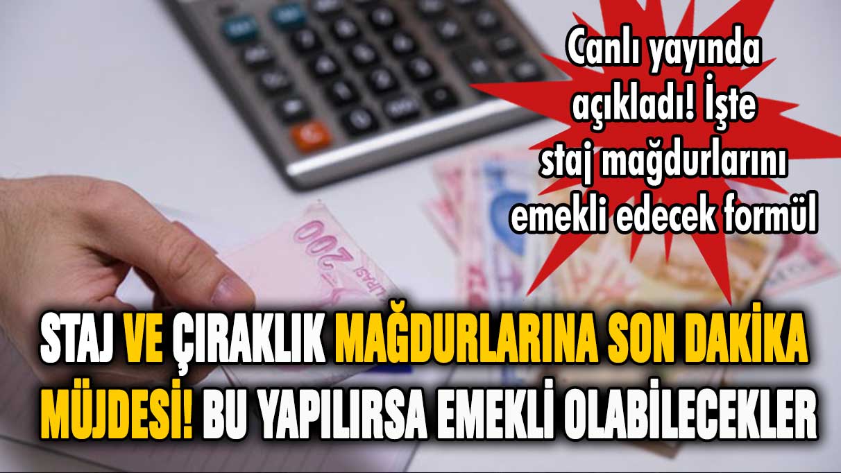 Staj ve çıraklık mağdurlarına son dakika müjdesi: Bu yapılırsa emekli olabilirler!