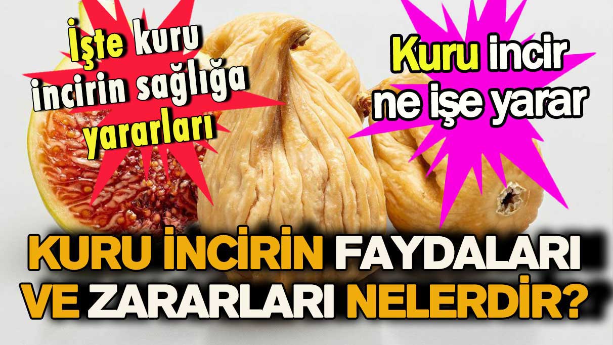 Kuru incirin faydaları ve zararları nelerdir? Kuru incir ne işe yarar?