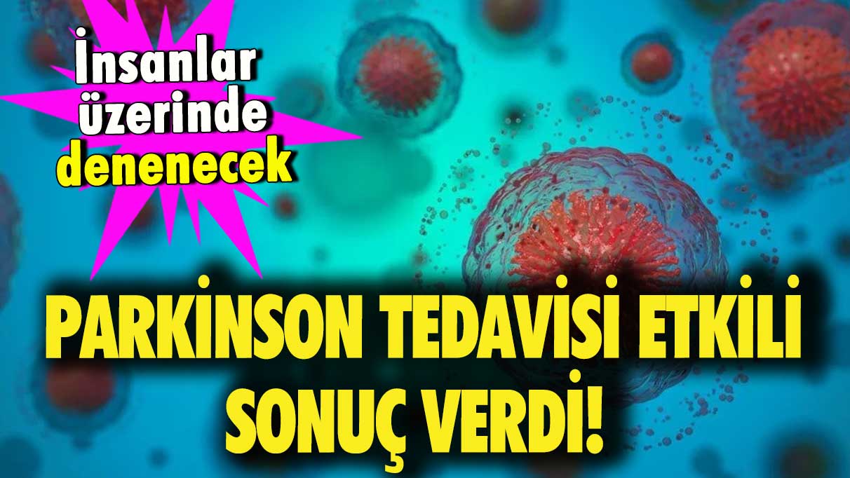 Parkinson tedavisi etkili sonuç verdi! Kısa sürede insanlar üzerinde denenecek