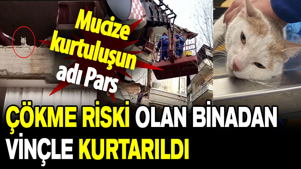 Mucize kurtuluşun adı Pars: Çökme riski olan binadan vinçle kurtarıldı!