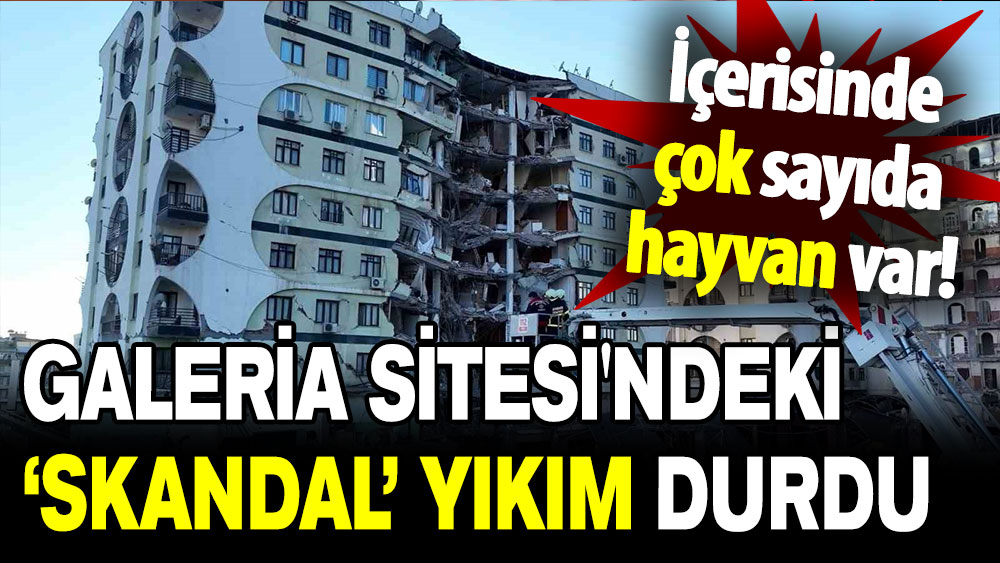 İçerisinde çok sayıda hayvanın olduğu Galeria Sitesi'ndeki skandal yıkım durdu!