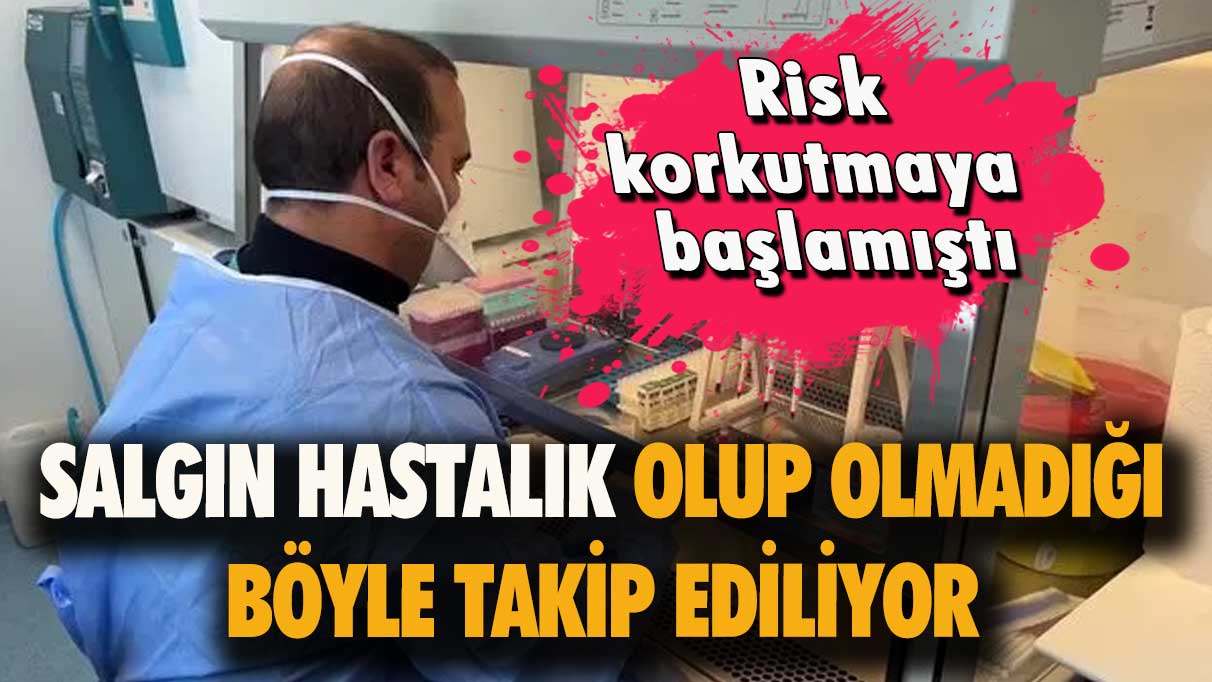 Salgın hastalık riski tartışılmaya başlanmıştı!  Salgın hastalık olup olmadığı böyle takip ediliyor