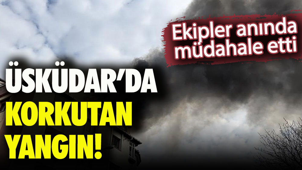 Üsküdar'da yangın alarmı! Bir anda alev topuna döndü