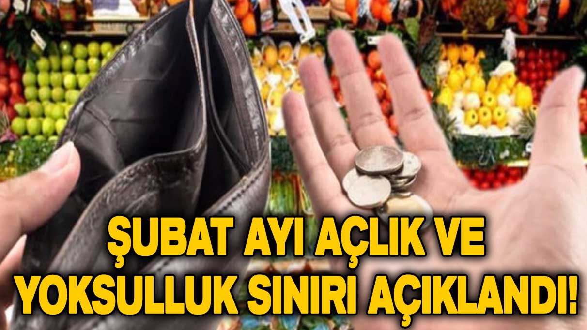 2023 Şubat ayı açlık ve yoksulluk sınırı açıklandı!