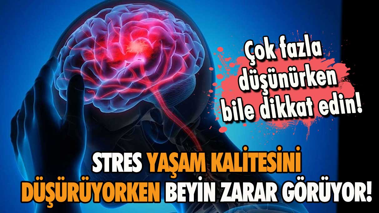 Stres yaşam kalitesini düşürüyorken beyne zarar veriyor!