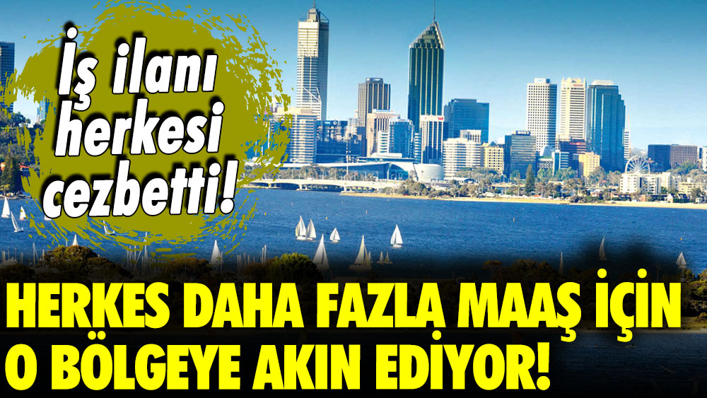 Herkes daha fazla maaş almak için bu bölgeye gidiyor!