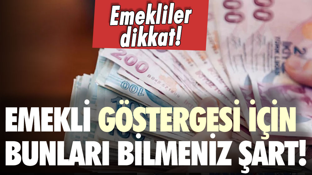 Emekliler dikkat: 600 ek gösterge ikramiye farkı için bilmeniz gerekenler