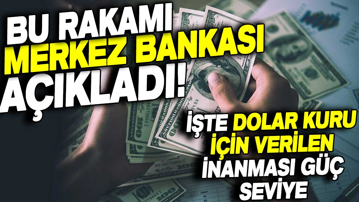 Bu rakamı Merkez Bankası duyurdu: İşte dolar kurunun göreceği inanması güç seviye