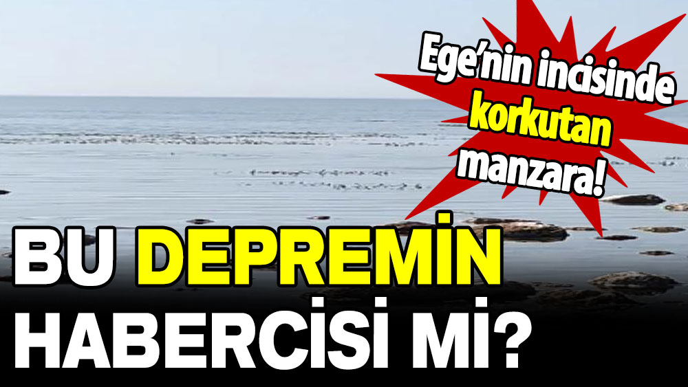 Saros Körfezi'nde korkutan manzara: Bu depremin habercisi mi?