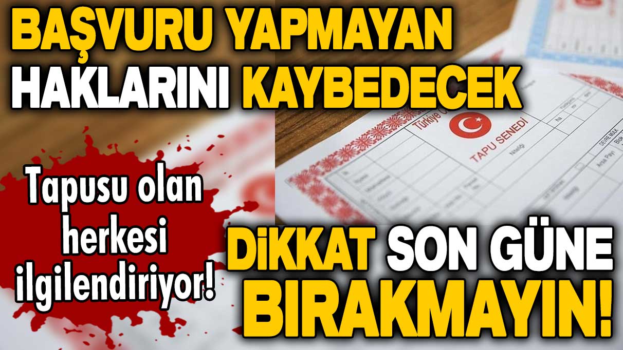 Tapusu olan herkesi ilgilendiriyor! Dikkat son güne bırakmayın! Başvuru yapmayan haklarını kaybedecek