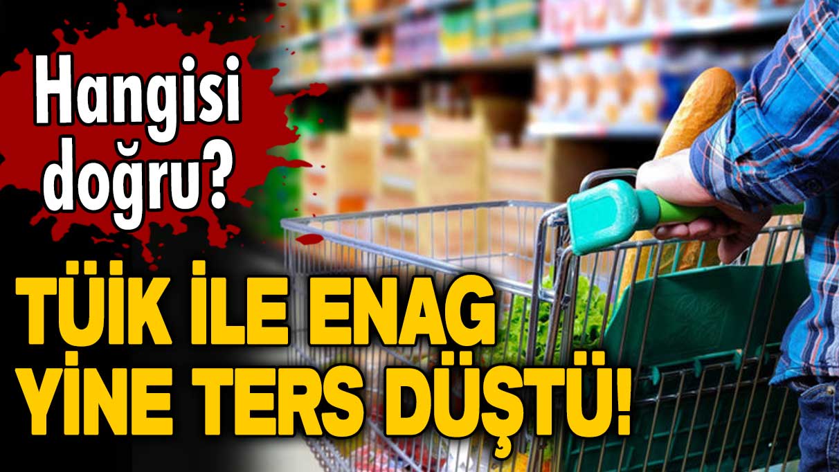 Hangisi doğru? TÜİK ile ENAG yine ters düştü