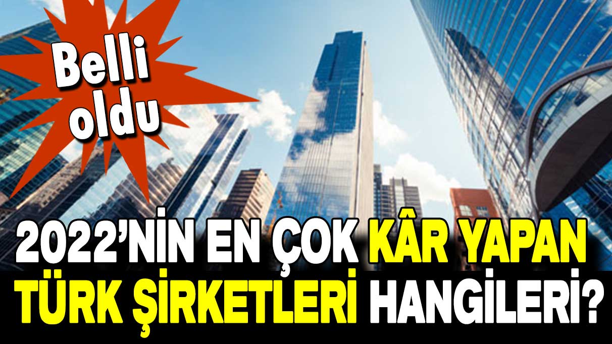 Belli oldu: 2022’nin en çok kar yapan Türk şirketleri hangileri?