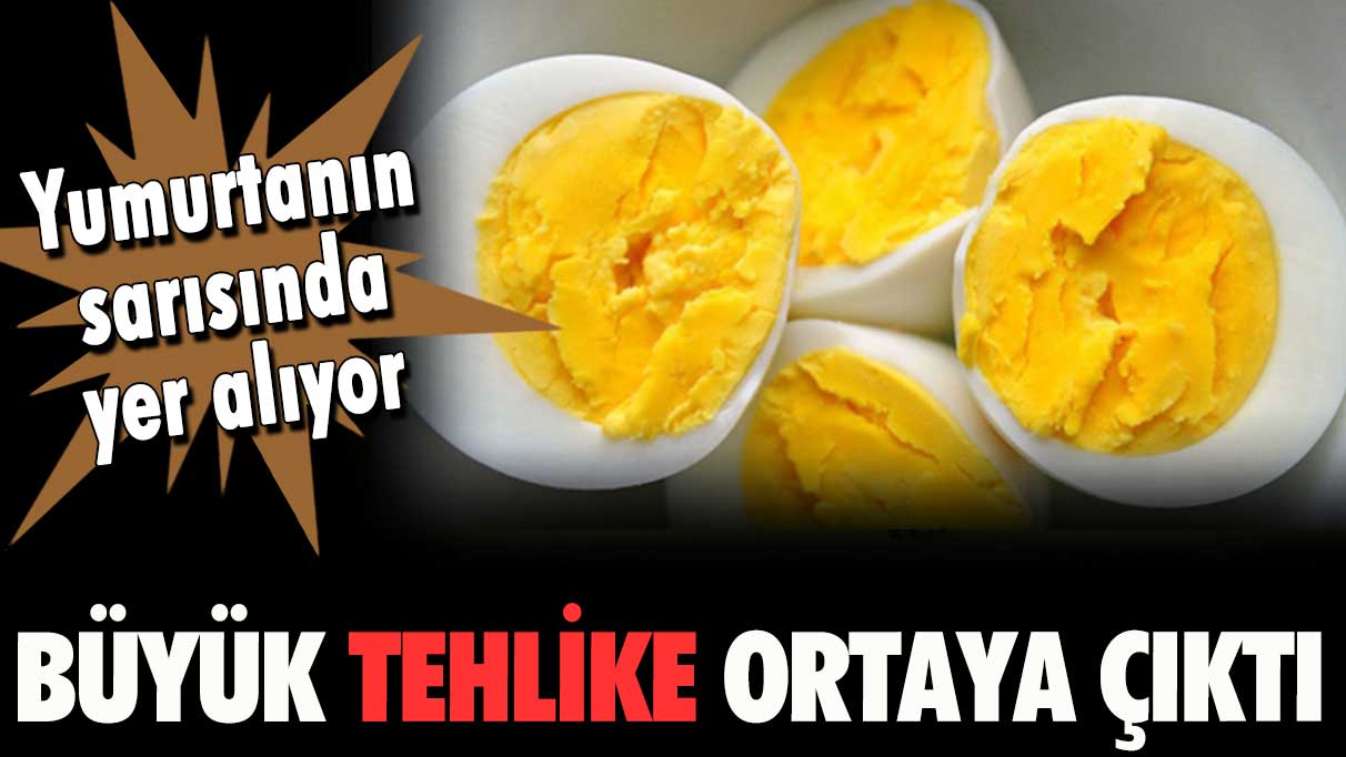 Yumurta sarısındaki büyük tehlike ortaya çıktı