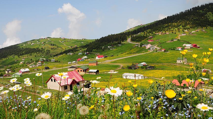 Rüyada yayla görmek ne anlama geliyor?